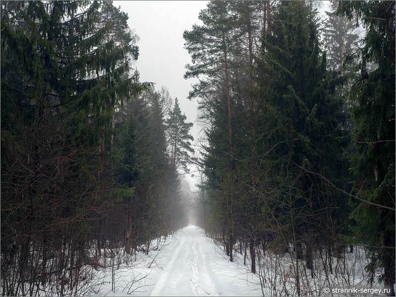 Праздник любования туманами