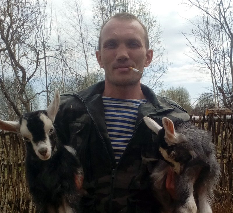 Погибли в Сирии за 2017 год дополнительно 2. Непризнанные потери Погибли в Сирии за 2017 год дополнительно 2. Непризнанные потери