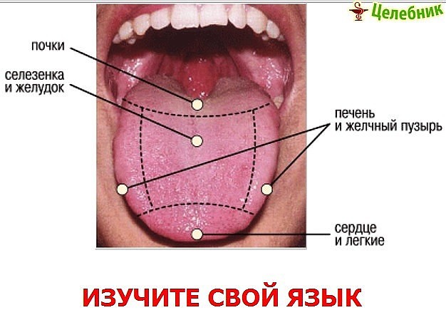 ХИЖИНА ЗДОРОВЬЯ. Изучите свой язык ХИЖИНА ЗДОРОВЬЯ. Изучите свой язык