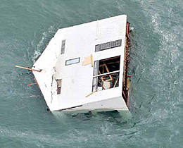 Чего только не встретишь в море!