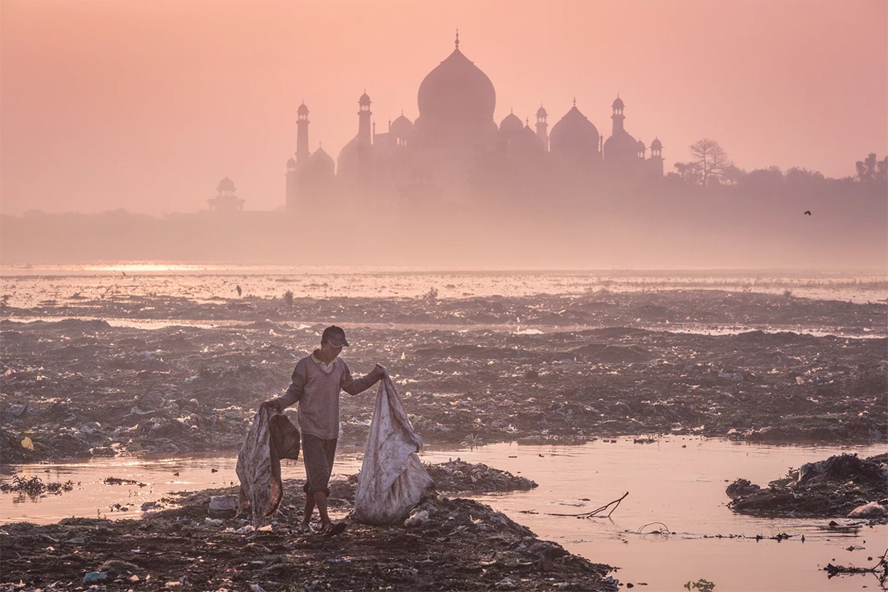    Atkins Ciwem Environmental Photographer of the Year 2016