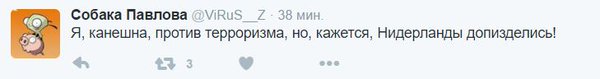 Нидерланды "послали" Украину. Что пишут в комментариях в укрнете. Это нужно видеть (фото)