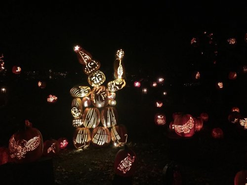 Фестиваль светящихся светильников Джека в Нью-Йорке Фестиваль светящихся светильников Джека в Нью-Йорке