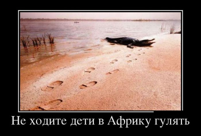 Демотиваторы - 936 Демотиваторы - 936