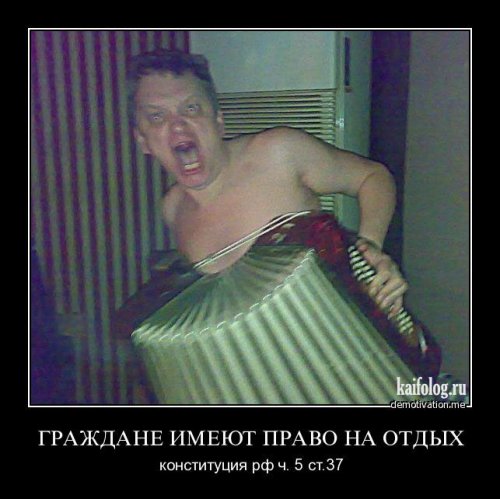 Размещенное изображение