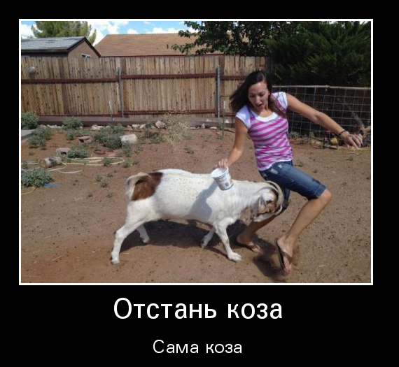 Прикольные и смешные демотиваторы про женщин (10 фото) Прикольные и смешные демотиваторы про женщин (10 фото)