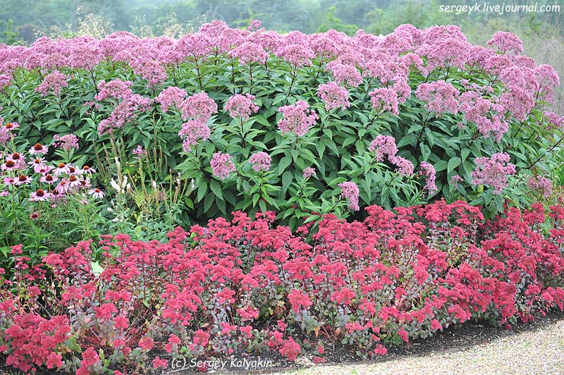 Trantham Gardens 195.JPG Trantham Gardens 195.JPG