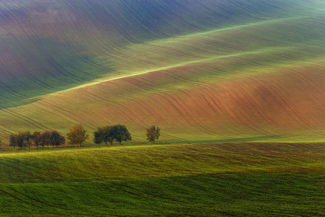 Лучшее с АdMe Photo Awards 2014 за неделю