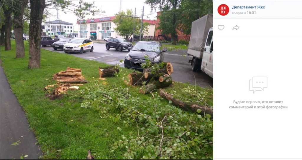 Коммунальные службы оперативно убрали упавшее дерево на Сходненской