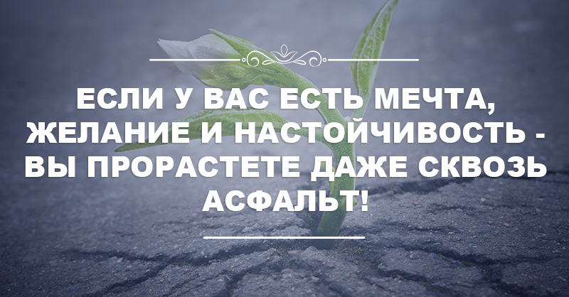 15 вдохновляющих цитат, которые могут изменить жизнь 15 вдохновляющих цитат, которые могут изменить жизнь