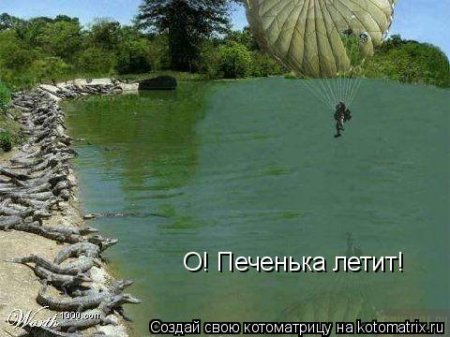 котомашечки от Лисицы))