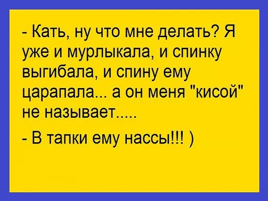 В ночной тишине: — Вась, сколько времени? — Четыре... В ночной тишине: — Вась, сколько времени? — Четыре...