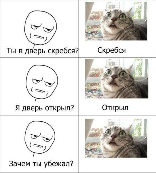 Смешные комиксы (06.07.17) Смешные комиксы (06.07.17)