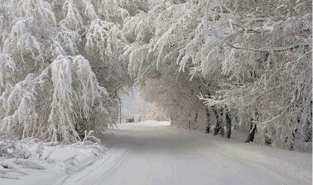 Без имени