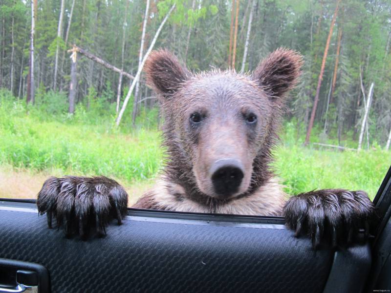 034 10 фобий, вызванных природой