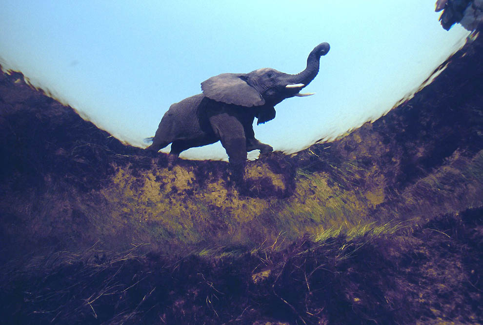 3021 Фотоработы Дэвида Дубиле