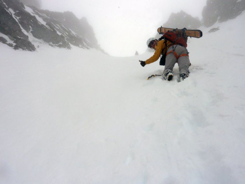 природа, позитив, фото