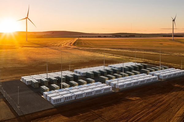 Tesla_Avstralia