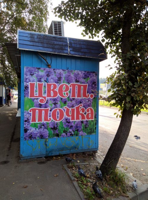 Объявления и реклама, которые вас рассмешат Объявления и реклама, которые вас рассмешат