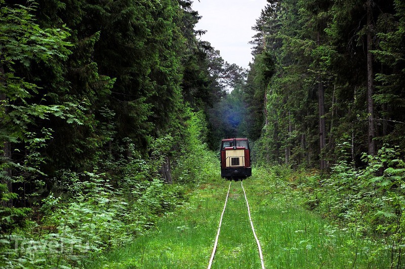 ����������� �� ������ ������ / ���� �� �������