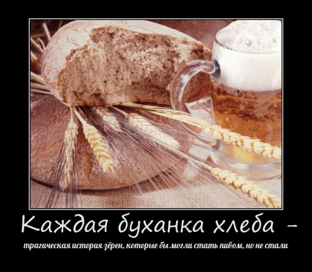 Демотиваторы Демотиваторы
