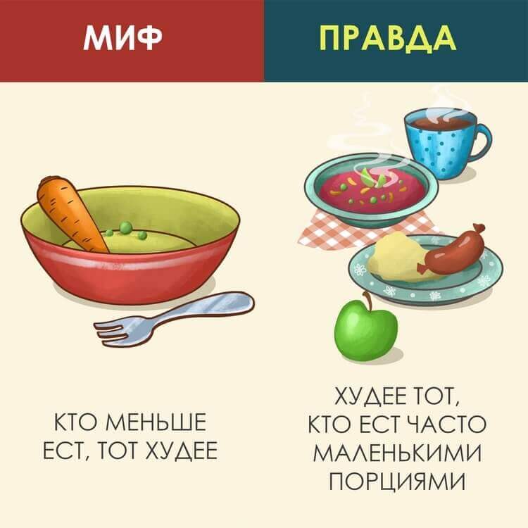 7 мифов о здоровом питании 7 мифов о здоровом питании