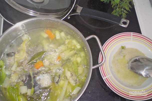 Суп из сазанa Суп из сазанa