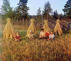 Фотография С.М. Прокудина-Горского. 1909 год. На жнитве.