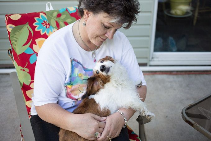 животные, отношения, люди, приют