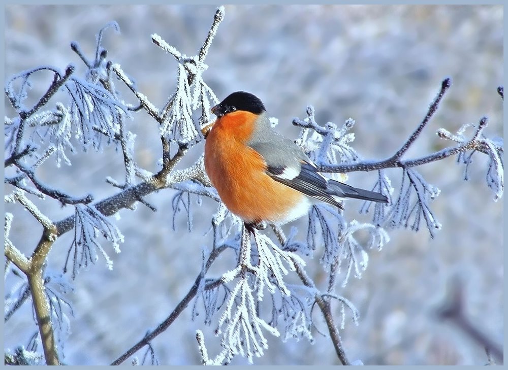 �� ������� �������...