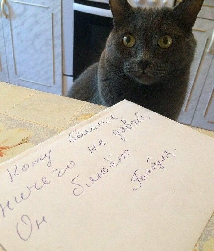 Душевные и убойные: записочки Душевные и убойные: записочки