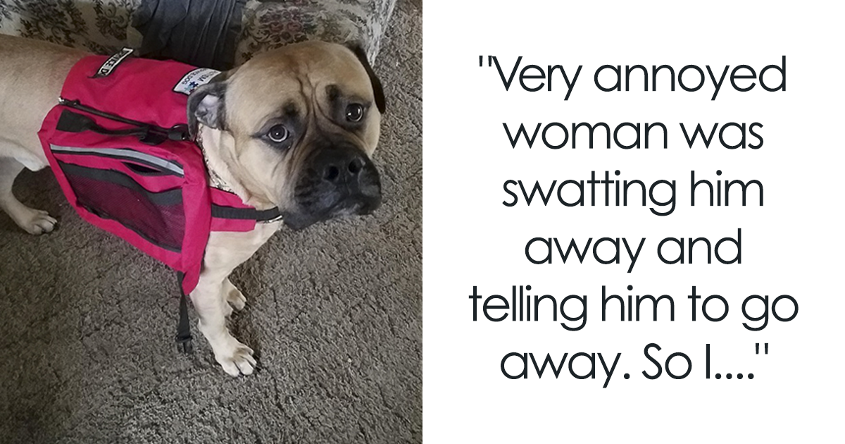 After An Accident Woman Explains How You Need To Act When You See A Service Dog Without An Owner