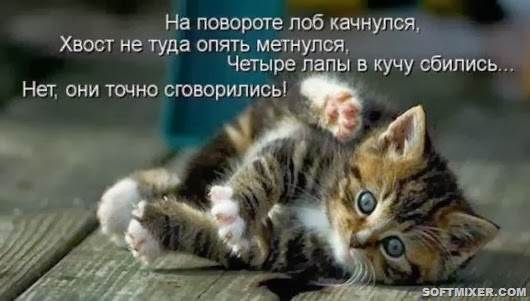 89c39274d975dc487aaac73323e_prev