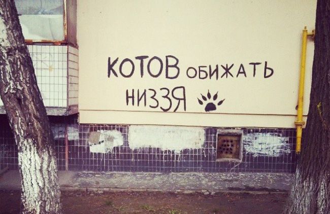 15 творческих объявлений 15 творческих объявлений юмор, креатив, объявления