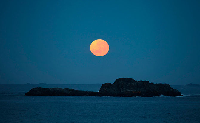 Таинственный мир Антарктиды