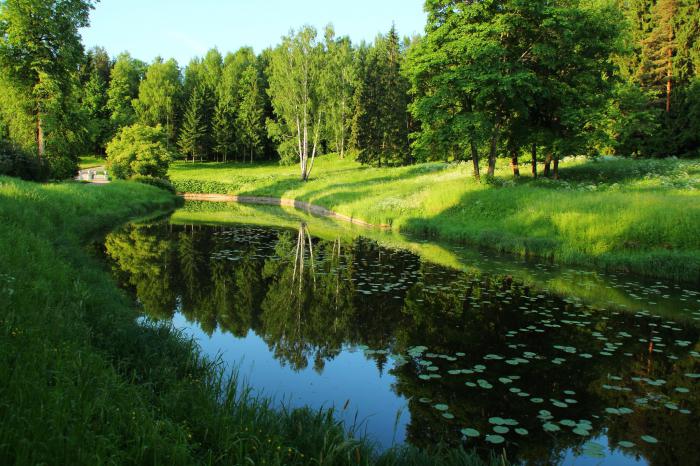 Природа России 16 Природа России 16