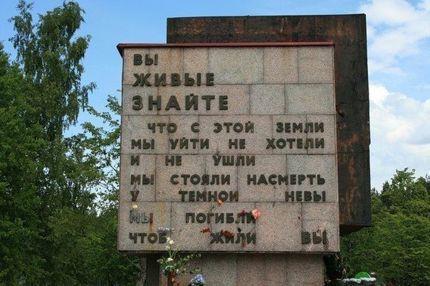 Больше, чем просто фотография. Часть 5