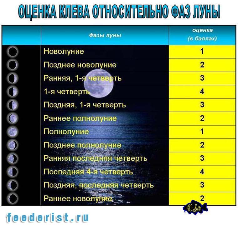 Работают ли Лунные календари Работают ли Лунные календари