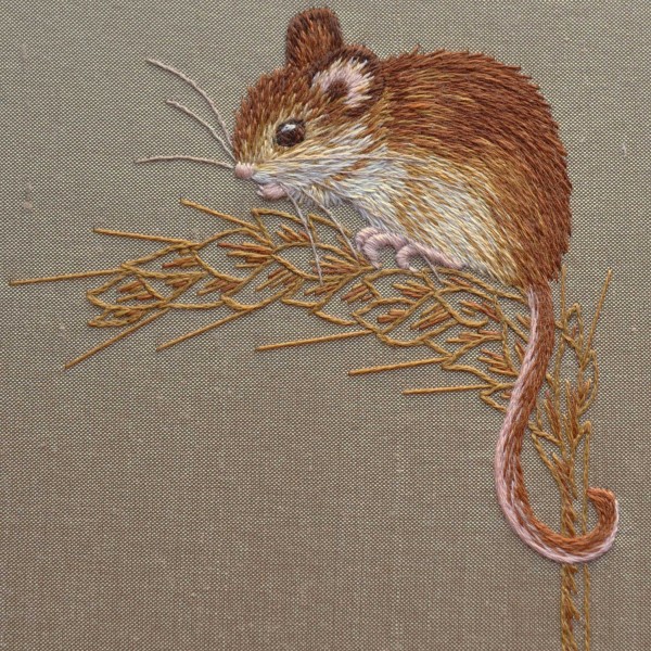 harvest_mouse harvest_mouse