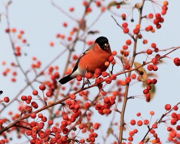 �� ������� �������...