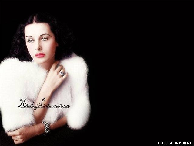 1323464203_00065606 (640x480, 20Kb)