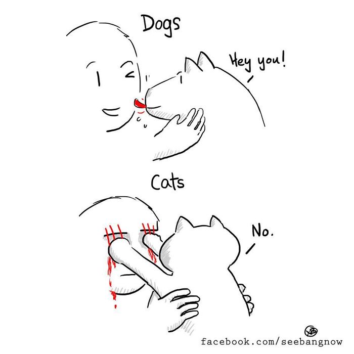 Funny Cats Vs. Dogs Comics