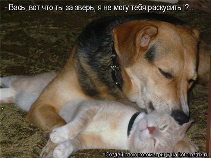 Мысли вслух :)