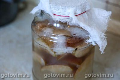 Фотографии рецепта Яблочный квас, 06 Яблочный квас, Шаг 06