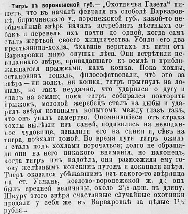 Неизвестный хищник Тульского уезда