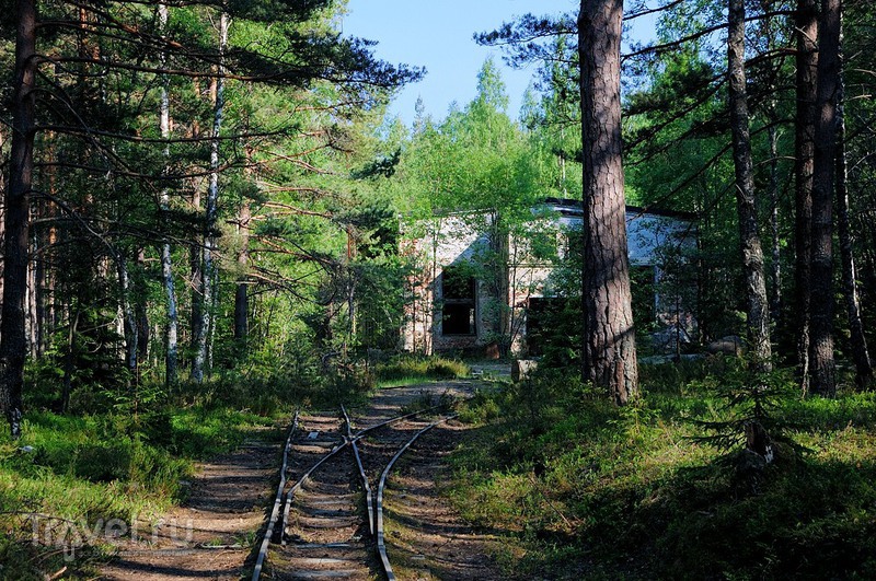 ����������� �� ������ ������ / ���� �� �������