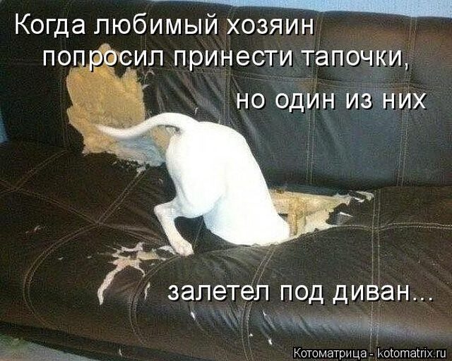Самые смешные котоматрицы для хорошего настроения) Самые смешные котоматрицы для хорошего настроения)