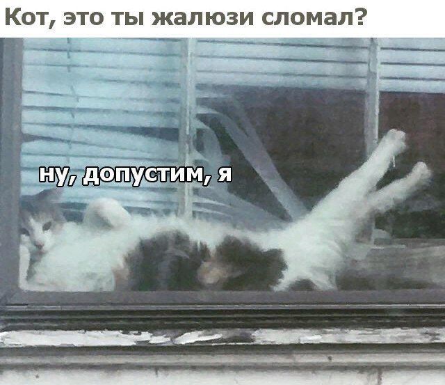 Подборка картинок Подборка картинок