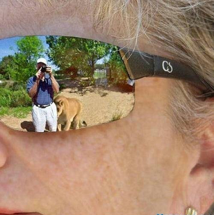 Фотографии, сделанные за миг до смерти