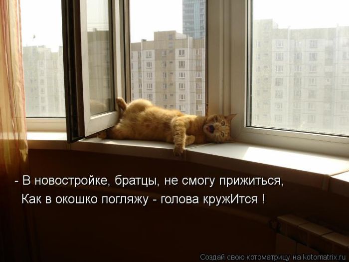 Котоматрицы великолепные, каждая с кусочком тепла, позитива и улыбкой! Котоматрицы великолепные, каждая с кусочком тепла, позитива и улыбкой!